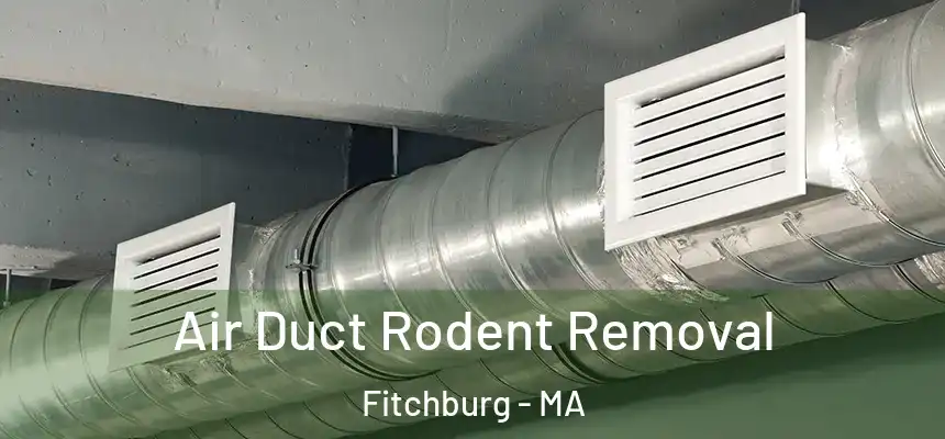  Air Duct Rodent Removal Fitchburg - MA