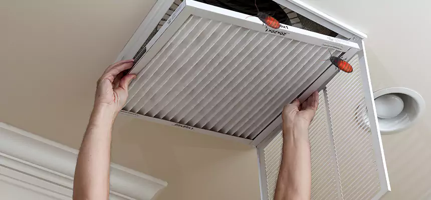 Preventive Cockroach-Proofing for Ducts in Fitchburg