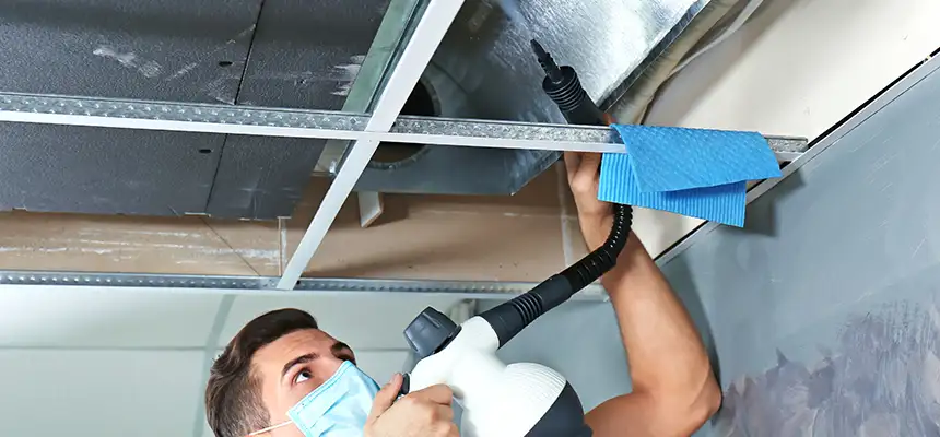 Our Air Duct Rodent Removal Services in Fitchburg, MA