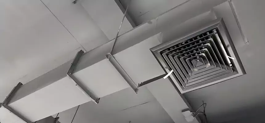 Our Rodent Droppings In Vents Services in Fitchburg, MA