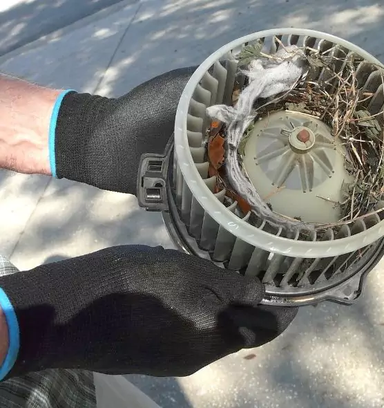 About Air Duct Mice Removal in Fitchburg, MA