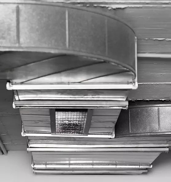 Professional Air Duct Pest Removal in Fitchburg, MA