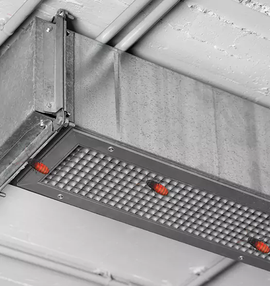 Affordable Insect Removal from Air Ducts in Fitchburg, MA