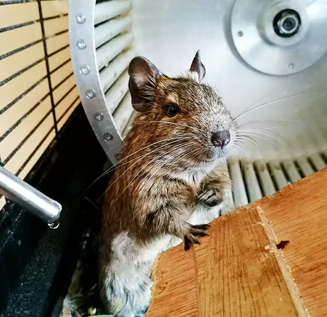 Why Homeowners & Businesses Trust Us Fitchburg, MA?