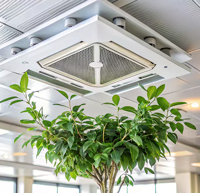 Why Homeowners & Businesses Trust Us in Fitchburg, MA?